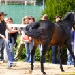 ustupov�n� bokem